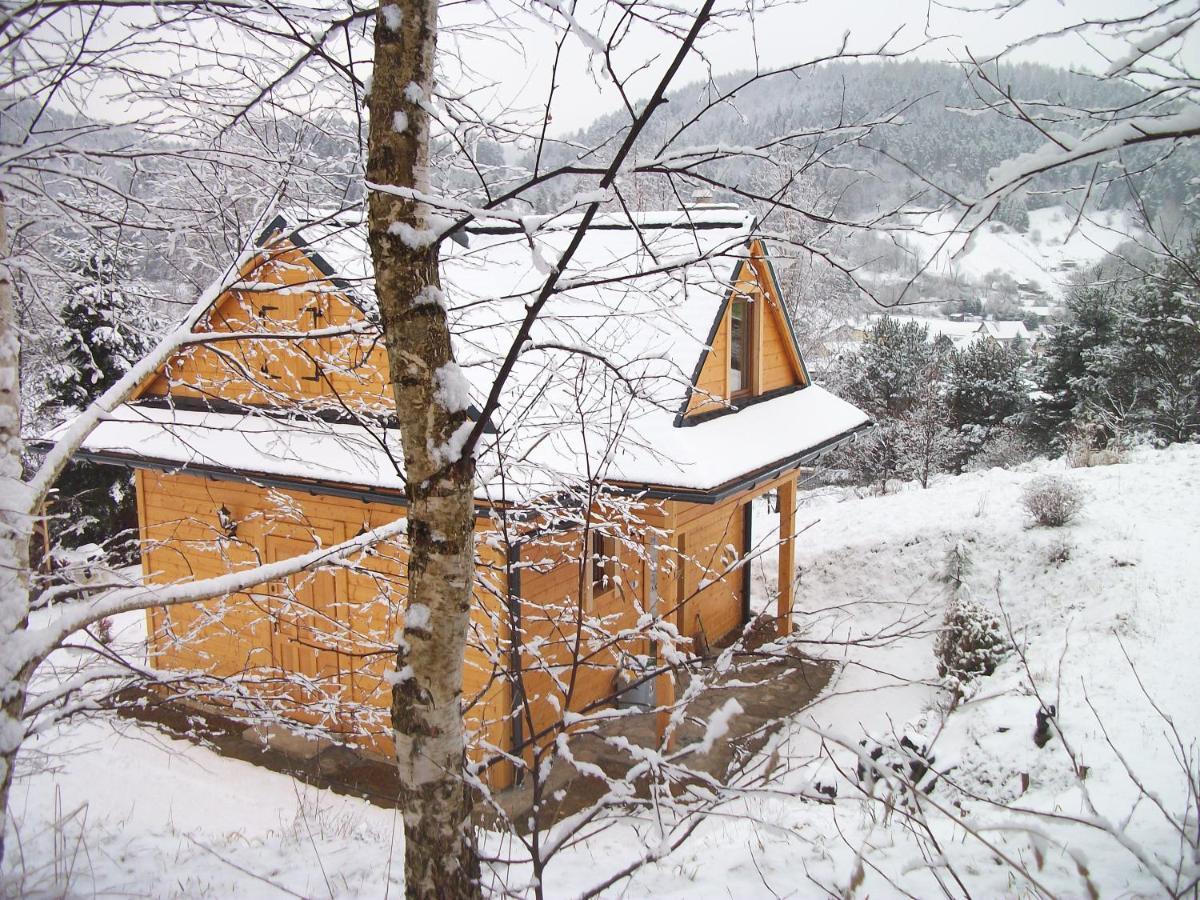 Stokrotka Chalet Krynica Zdroj